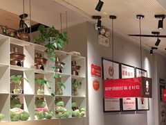 -老佛爷炭火蛙锅直营(清滨路总店)