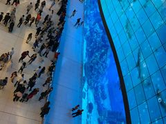 -迪拜水族馆及水下动物园