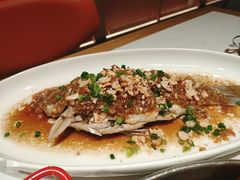 -杨氏青龙虾·羊蝎子(金盛路总店)