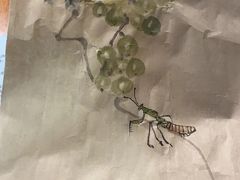 -清岚画室少儿美术培训(平江校区)