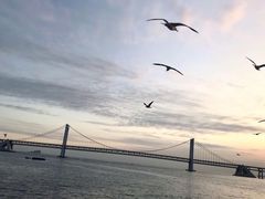 -星海广场