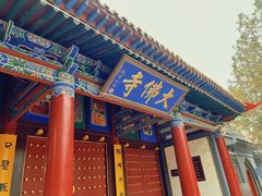 -张掖大佛寺景区