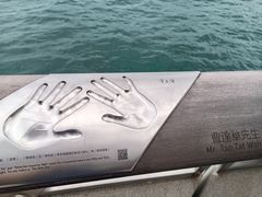 -星光大道