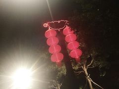 -永定河休闲森林公园