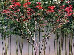 -水城巴士游船码头