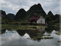 -靖西鹅泉风景区