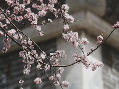 -北海公园