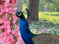 -西霞口神雕山野生动物世界