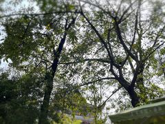 -香园自助小火锅