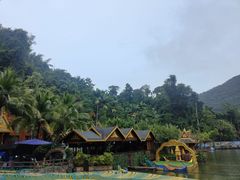 -西双版纳原始森林公园