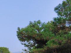 -秦始皇帝陵博物院(兵马俑)