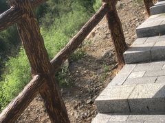 -白水寺森林公园