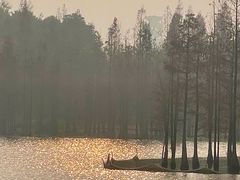 -白鹭湾湿地公园