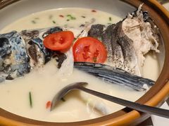 -全乐鱼馆·淳牌有机鱼直营店