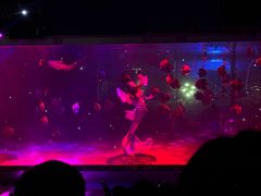 -顺德南宏海立方海洋公园