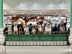 -乐蓬马歇百货公司(Rive Gauche)