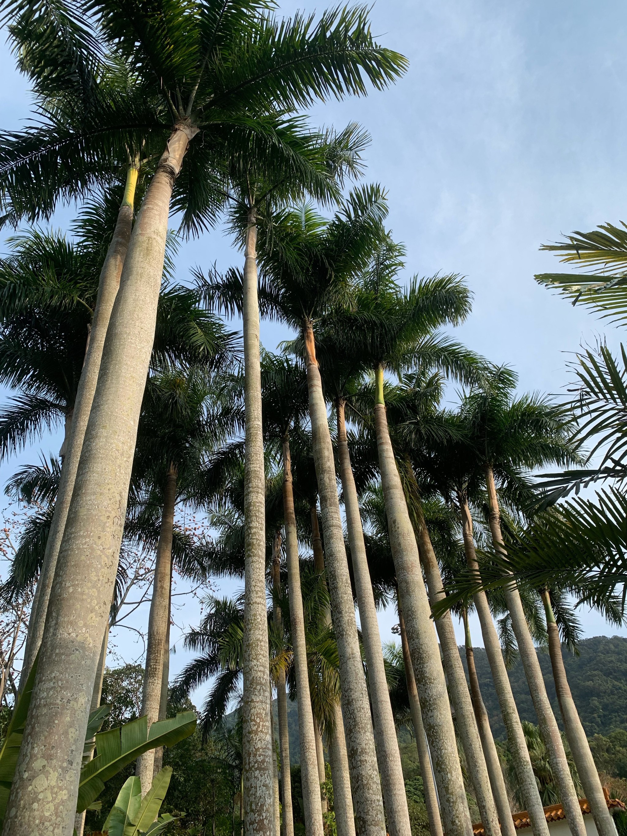 0元玩转这座城 一花一草一世界  分享治愈系风景  园林植物园 城市