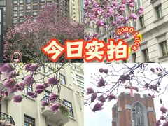 -上海来福士广场