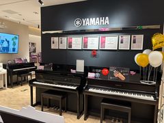 -雅歌音乐培训中心·钢琴培训·乐器培训(交道口店)