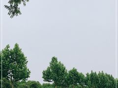 -上海山野camping·户外天幕烧烤·团建拓展营地