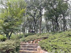 -上海市保健医疗中心