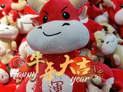 -麦德龙(湖里店)