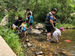 -碓臼峪自然风景区