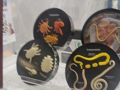-半岛宠物医院24小时(白果林店)