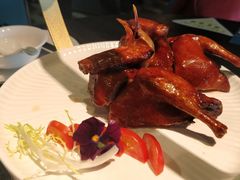 -鹊玥·粤菜小馆(汇智国际商业中心店)