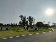 -盘龙城遗址博物院