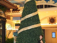 -深圳威尼斯英迪格酒店