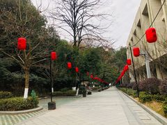 -云碧峰国家森林公园