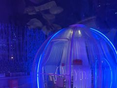 -南门四季铜锅涮肉(大屯·北苑店)