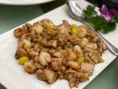 鸡里蹦-丁老爷子苏香圆
