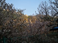 -崂山九水游览区