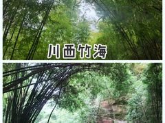 -川西竹海景区