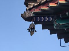 -大钟寺古钟博物馆