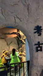 -DoDo梦想城(泉舜购物中心店)