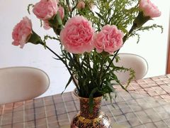 康乃馨-双季花艺园艺市场(浦东店)