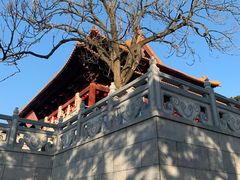 -太子山公园(园东路)