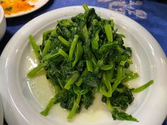 清炒豆尖-富乐山酒店(西黄城根北街店)