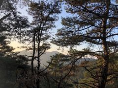 -金龙寺国家森林公园