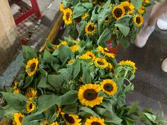 -循礼门鲜花花市(武汉循礼门店)