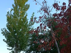 -亿利库布其七星湖沙漠生态旅游区