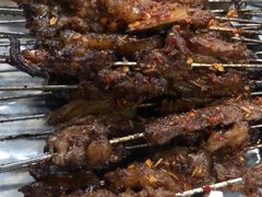 -清真·马峰烤肉(小学习北巷店)