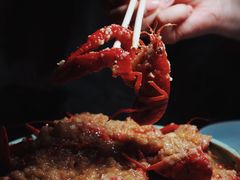 -猫头婴小酒馆FUN OWL(1912店)