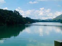 -广州市流溪河国家森林公园