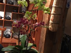 -茶肆(仙林店)