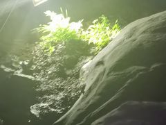 -华阳洞风景区