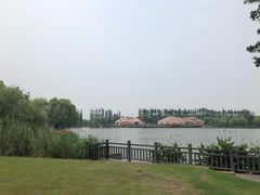 -上海长兴岛郊野公园